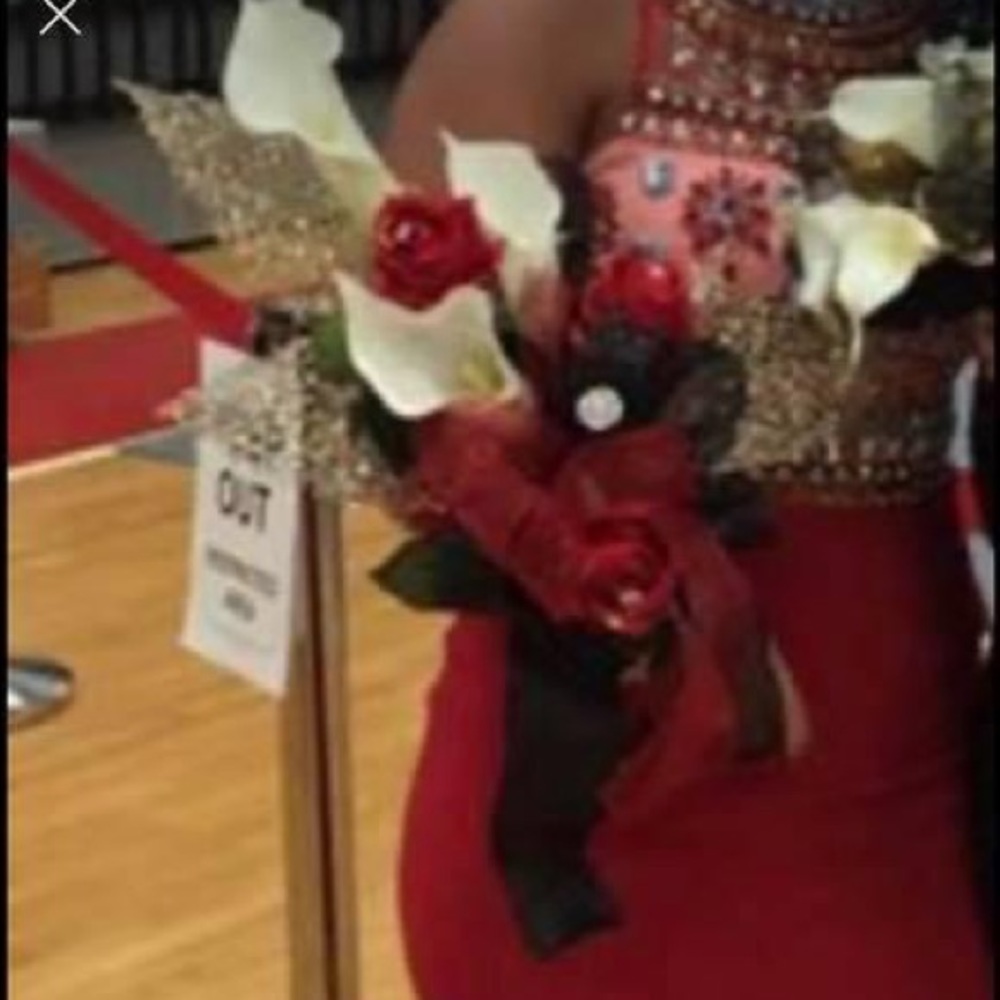 Prom/Pageant Dress - Picture 3 of 3